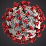 Image of corona virus up close