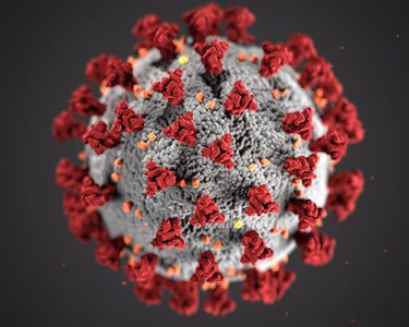 Image of corona virus up close